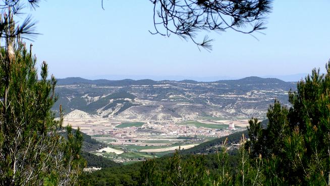 Castejón de Valdejasa está rodeado de un bosque que renace de las cenizas tras el grave incendio sufrido en 2008