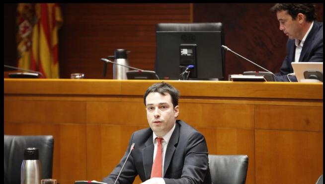 El director general de director general de Planificación, Ricardo Almalé, este martes durante su comparecencia en las Cortes de Aragón.