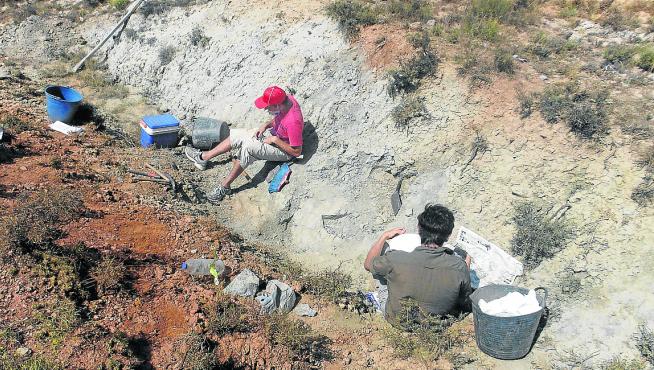 Paleontólogos, en las excavaciones en el yacimiento de Las Zabacheras, en Galve.