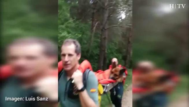 La Guardia Civil, al rescate de un perro al que le dio un golpe de calor