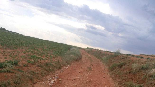 Estado en el que se encuentran los caminos de acceso a las fincas de Villarroya del Campo.