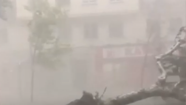 Árbol arrancado en Fernando el Católico