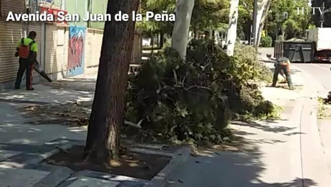 El día de después de algunas calles de Zaragoza tras la tormenta
