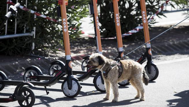 Los patinetes eléctricos fueron los grandes protagonistas del Día Mundial Sin Coches en Zaragoza