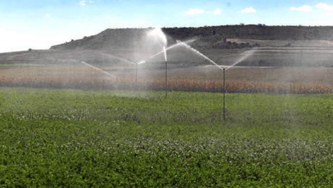 Riego por aspersión en un campo de alfalfa en la provincia de Huesca.