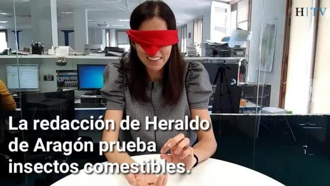 ¿A qué saben los gusanos a las finas hierbas? ¿Y los grillos?