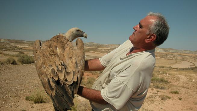 Ser anillador permite a Javier Blasco capturar aves y tomar fotos antes de liberarlas