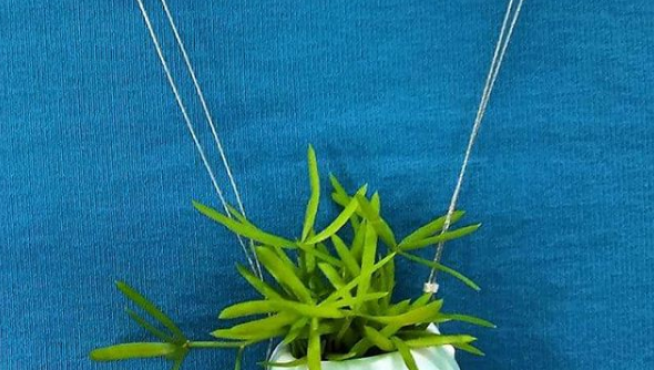900veinticinco. Línea de joyería contemporánea de Se ha hecho trizas