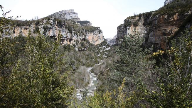 Una vista del cañón de Añisclo.