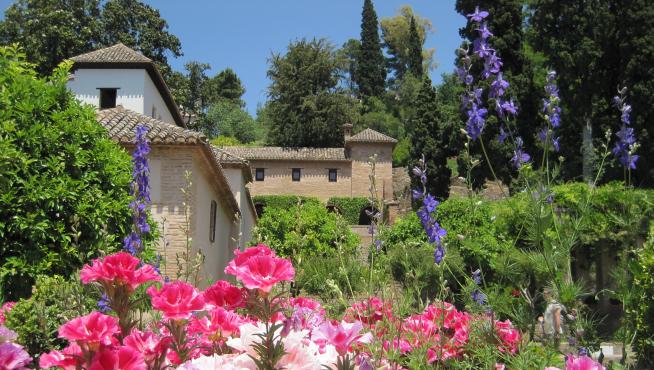 Si las flores están en su ubicación correcta, durarán mucho tiempo