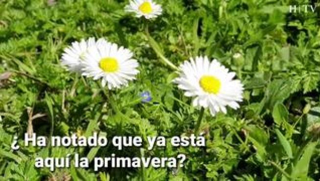 La estación comienza este miércoles a las 22.58 hora peninsular, y tampoco traerá las lluvias habituales.
