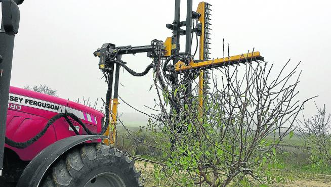 Maquinaria y equipo para la realización de la ‘poda aragonesa’, realizada por la empresa caspolina El Vivero de Abel.