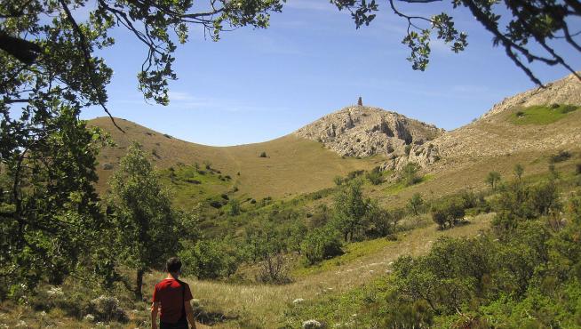Quejigar antes de abandonar la zona con vegetación, camino de la cima de la peña Palomera.