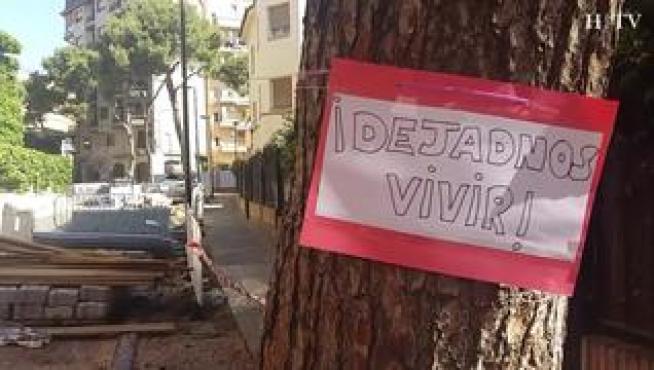 Los vecinos de la calle Bruno Solans de Zaragoza y el AMPA del CEIP Basilio Paraíso se han movilizado para paralizar la tala de los pinos centenarios de esta vía zaragozana. Los operarios de PArques y Jardines ya han talado 6 de los 8 previstos para acometer las obras de peatonalización de la calle.