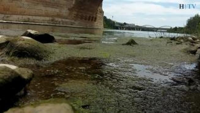 El río Ebro a su paso por la capital aragonesa registra durante estos días el nivel de caudal más bajo del año. Además, se incrementa la presencia de mosquitos en su ribera.