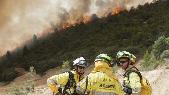 Los agentes de protección de la naturaleza (APN) dirigen las cuadrillas forestales del Gobierno de Aragón y la extinción del incendio en primera instancia.