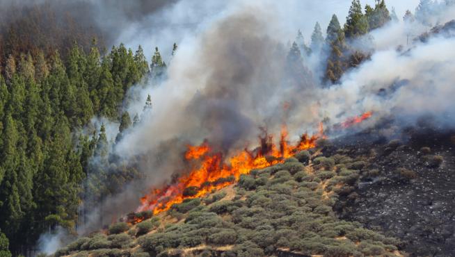Imagen del incendio de Gran Canaria.