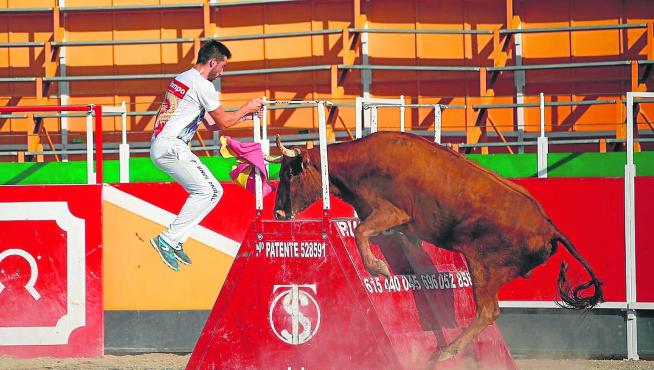 Una vaquilla de la ganadería Rafael Alarcón de Pastriz intenta subir a uno de los obstáculos.