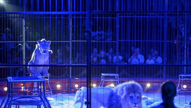 Circo con animales en el Pilar en 2014, último año en el que se permitió este tipo de espectáculos.