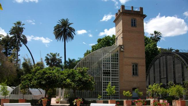 El Jardín Botánico de la Universidad de Valencia albergará la consulta ciudadana del proyecto Concise en España.