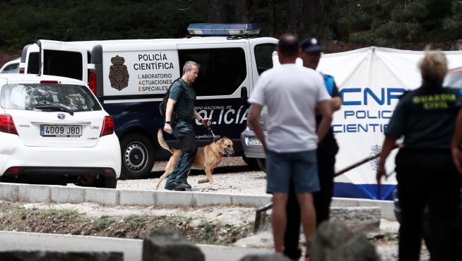 Dispositivo de búsqueda de Blanca Fernández Ochoa en Cercedilla.