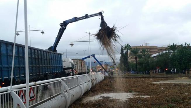 Río Segura a su paso por Murcia