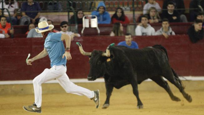 Fiestas del Pilar 2019: tercera jornada de vaquillas