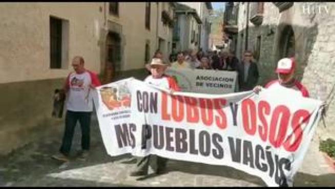 La concentración es la respuesta del sector al reciente despeñamiento de 70 ovejas causado, al parecer, por un ataque de la osa Claverina. A finales de agosto ya hubo ya una manifestación en Aínsa.