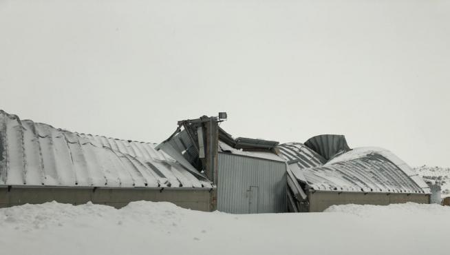 El techo de una nave se ha hundido en Herrera de los Navarros a causa del peso de la nieve.
