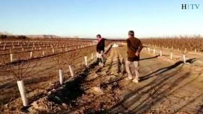 Manuel Rausa, corresponsal territorial de UAGA en Fraga, analiza la situación y el sentimiento que se vive en el campo. También denuncia la diferencia de precios.