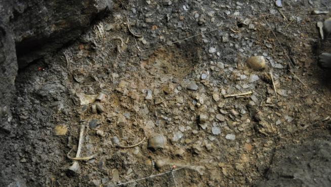 Imagen de distintos restos humanos entre el pavimento de cerámicas de la primera ocupación de la cueva.