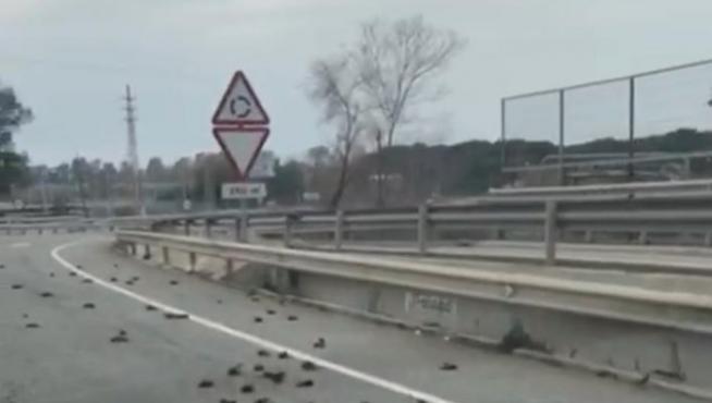 Aparece una bandada de pájaros muertos en la carretera entre Salou y Tarragona.