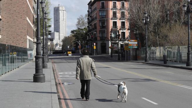 Un hombre pasea a su perro este domingo por una céntrica calle de Madrid.