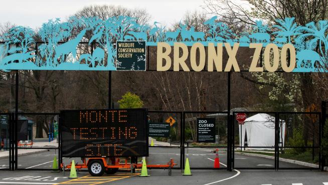 Zoo del Bronx, en Nueva York, donde han detectado el virus en cuatro tigres y tres leones.