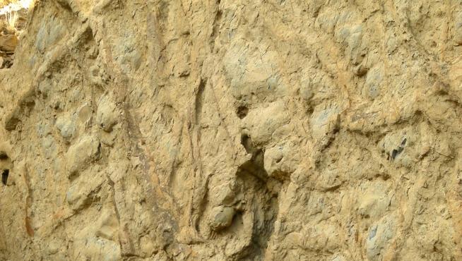 Imagen del yacimiento de fósiles de Bueña.