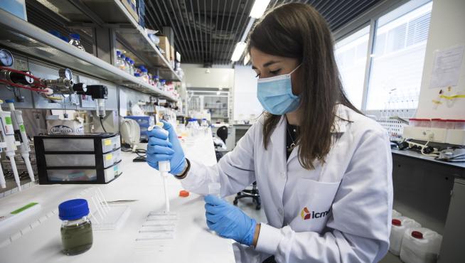 Una investigadora del Instituto de Ciencia de Materiales de Aragón prueba un test diagnóstico de covid-19 basado en nanopartículas de oro.