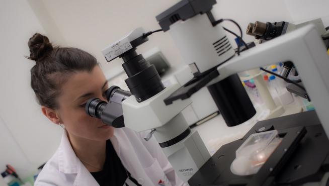 Investigaciones para frenar el coronavirus.