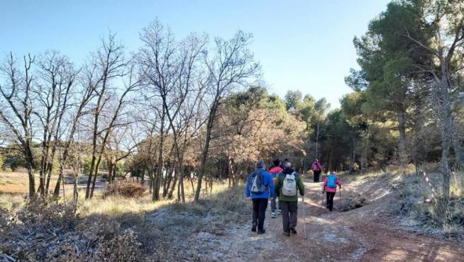 Ruta por la comarca de Daroca.