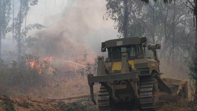 Bajada en velocidad de viento favorece tareas extinción en incendio de Huelva