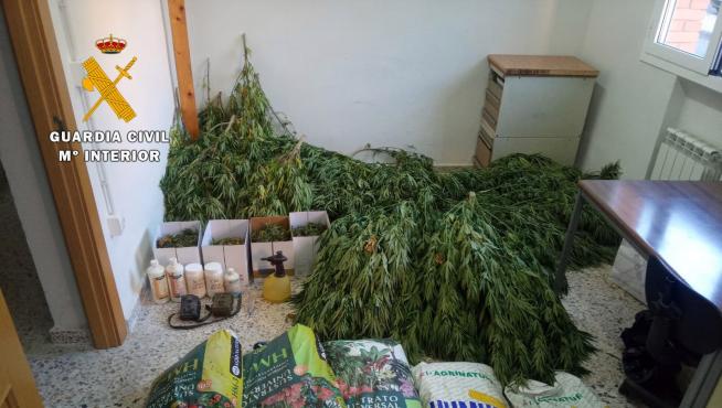 Droga incautada por la Guardia Civil en Aniñón