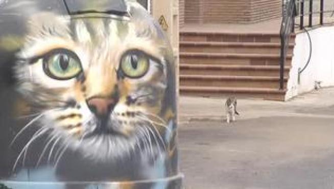 Puede que después de todo la famosa pantera de Granada sólo sea un gato. Uno negro que, de lejos, podría confundirse con una pantera. Un fotógrafo experto en naturaleza ha aportado la última pista a este caso. Se plantó en la zona, empeñado en retratar al felino, pero lo que cazó con su cámara fue un gato doméstico, ni siquiera salvaje. Lo cierto es que hay quienes aseguran haber visto a la pantera e incluso un ciclista sacó varias imágenes con su móvil. Por eso el Seprona ni confirma ni desmiente que el gato fotografiado sea el animal que buscan.
