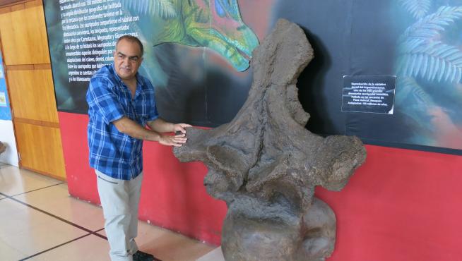 Reconstrucción de una vértebra de Argentinosaurus