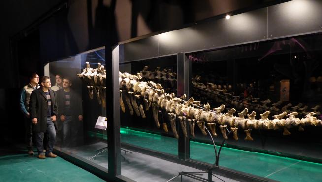 La cola de Losillasaurus de Riodeva en Dinópolis-Teruel.