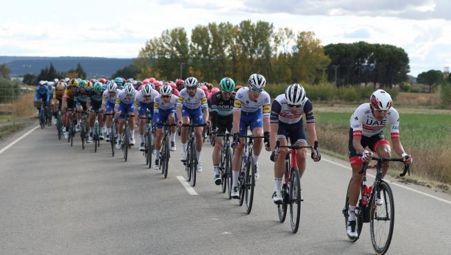 El pelotón en los últimos kilómetros durante la cuarta etapa de la Vuelta Ciclista a España, entre Garray y Ejea de los Caballeros
