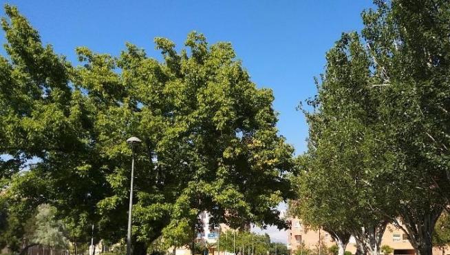 Adjudicada la segunda fase de mejora del Parque San Martín de Huesca