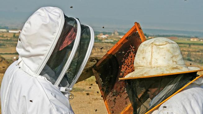 Dos apicultores de la comarca de Monegros.