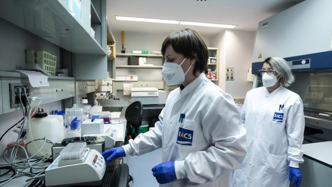 Fotos del laboratorio satélite del CIBA en Zaragoza donde se rastrea la cepa británica del coronavirus