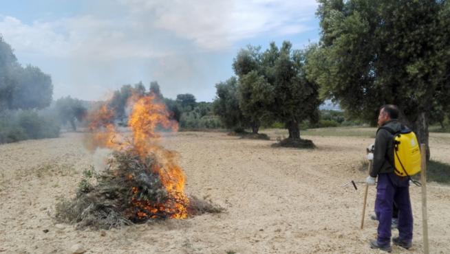 Quema Controlada de restos agrícolas en Aragón