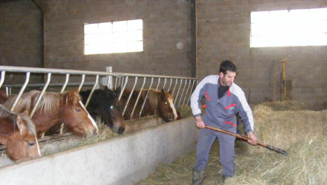 David Belío en su explotación de equino en Arguisal.