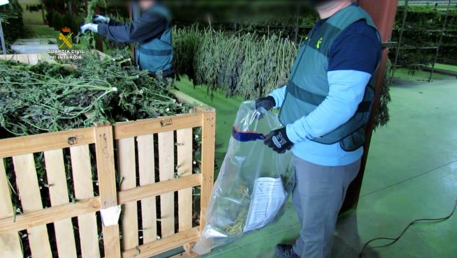 Interviene 4 toneladas de marihuana en la pequeña población Villel que luego eran distribuidas por toda Europa